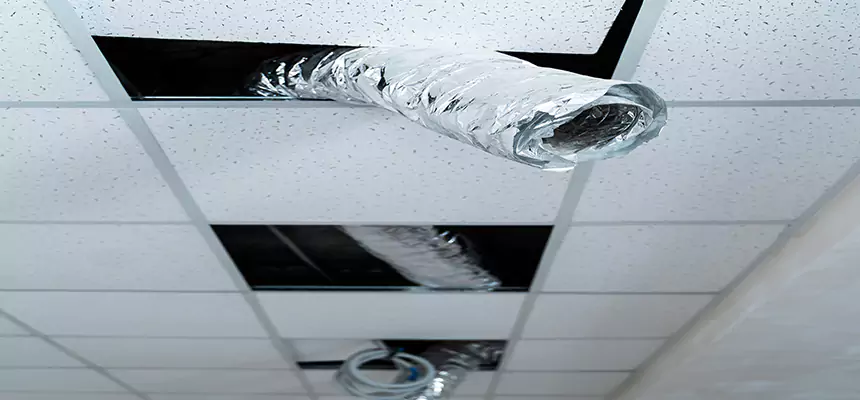 Our Air Duct Pet Hair Removal Services in Roseville, CA