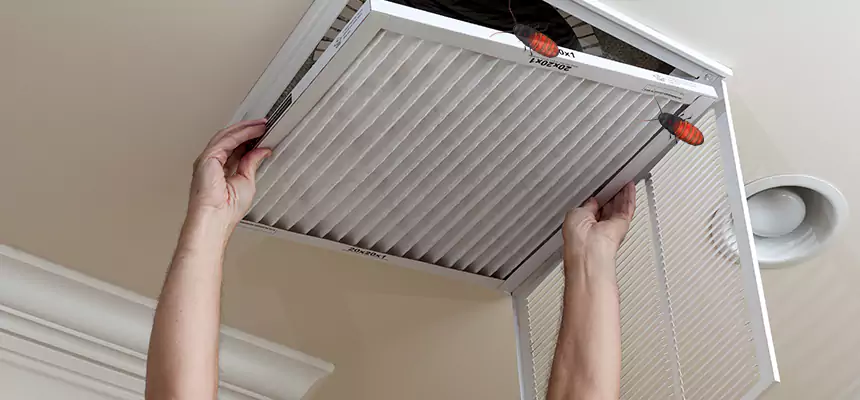 Our Insect Removal from Air Ducts Services in Roseville, CA