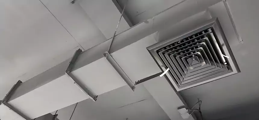 Our Rodent Droppings In Vents Services in Roseville, CA