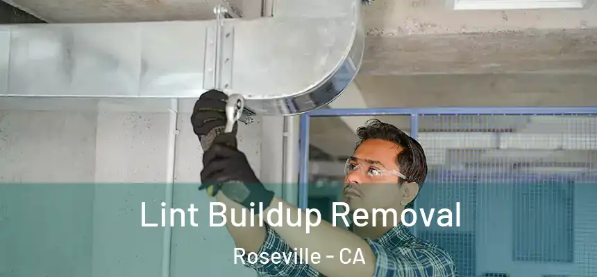  Lint Buildup Removal Roseville - CA