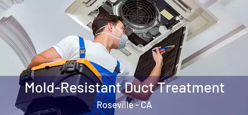  Mold-Resistant Duct Treatment Roseville - CA