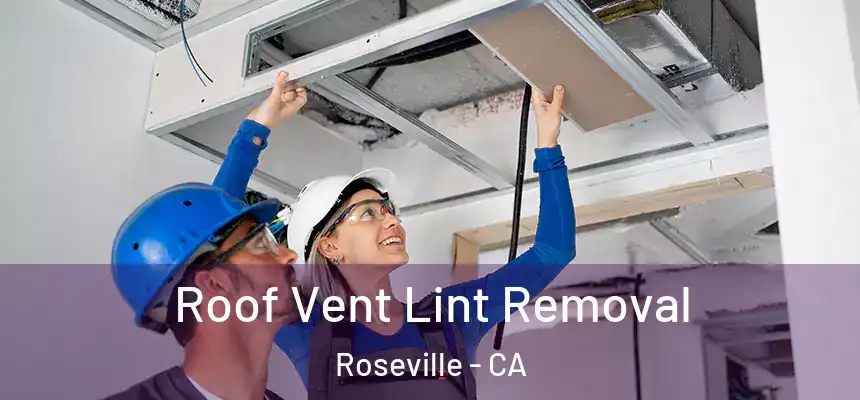  Roof Vent Lint Removal Roseville - CA