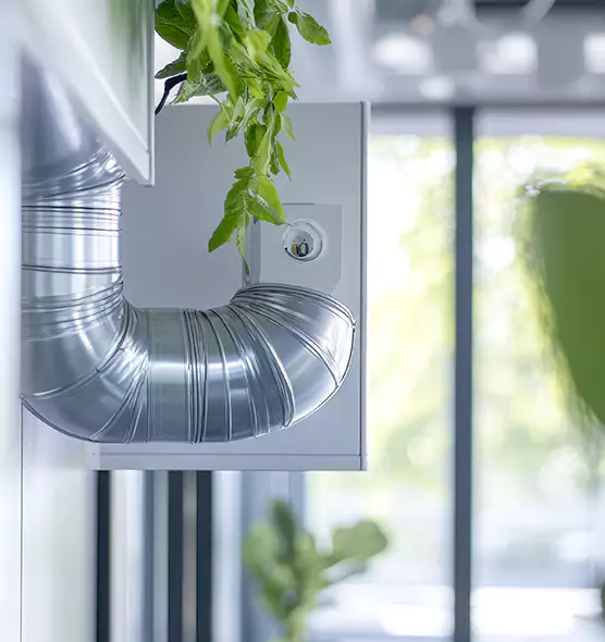 Professional Eco-Friendly Duct Cleaning Services in Roseville, CA