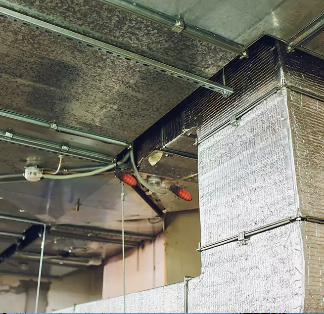 Why Homeowners & Businesses Trust Us in Roseville, CA?