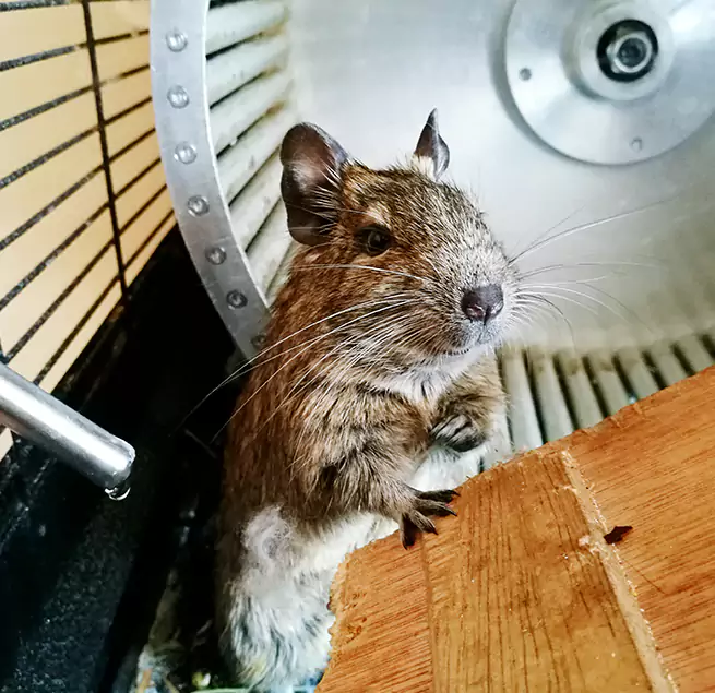 Why Homeowners & Businesses Trust Us Roseville, CA?