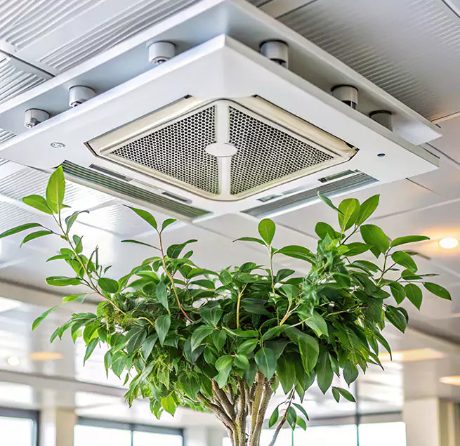 Why Homeowners & Businesses Trust Us in Roseville, CA